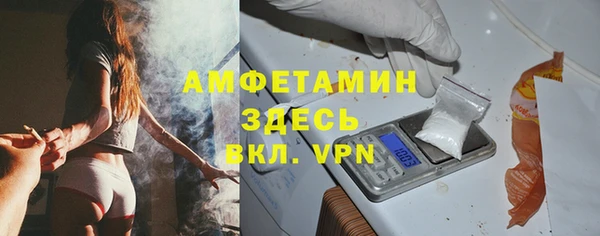 СК Пересвет