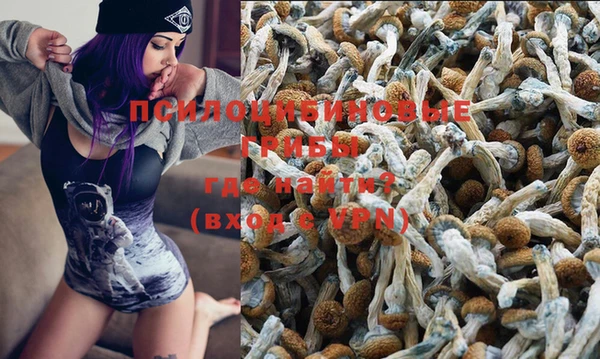 индика Абинск