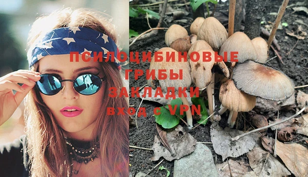 индика Абинск
