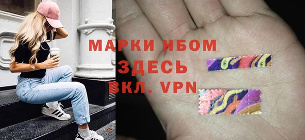 сатива Алзамай