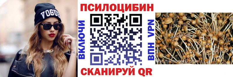 дарнет шоп  Микунь  Псилоцибиновые грибы Psilocybine cubensis 